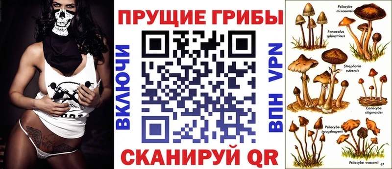 Галлюциногенные грибы Cubensis где найти наркотики Нижняя Салда